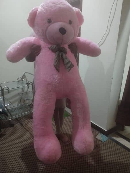 king Size Teddy bear 6