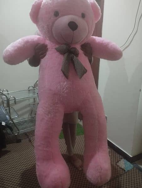 king Size Teddy bear 7