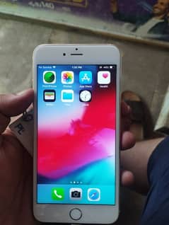 i Phone 6 Plus 0