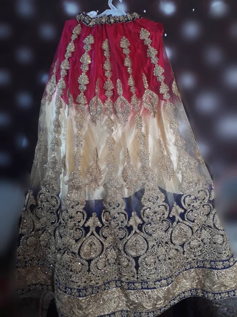 Formal Wedding dress Garara Choli 2