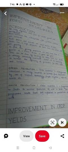 hand writing assignment work