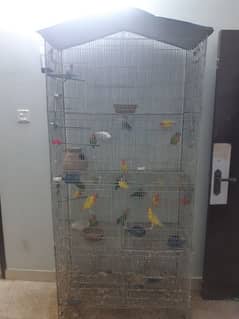 Birds Cage 0