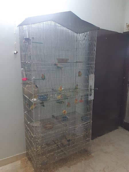 Birds Cage 1