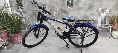 Sumac Sony Cycle Bicycle 2023 model_Condition new _Free Light+bottle