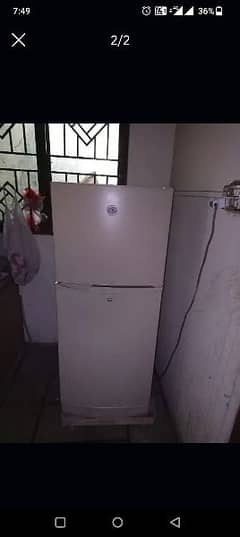 Pel Fridge  26000