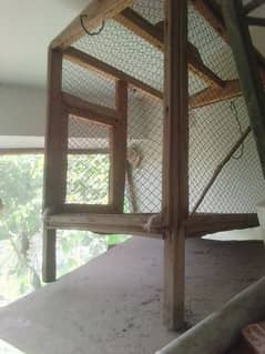 Australian parrot cage