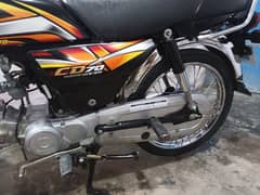 Honda CD 70 (2023+2022) model (03025424537)