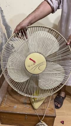 Royal bracket fan