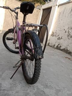 Bicycle 20 inches