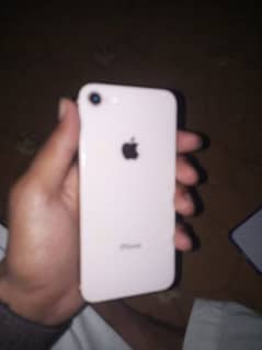 IPHONE 8