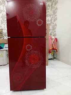 Orient Glass door Refrigerator