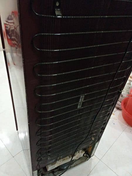 Orient Glass door Refrigerator 2