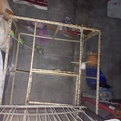 birds cage for sale