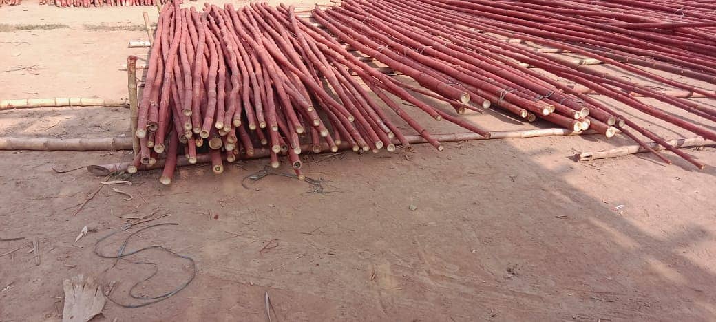 We have a good quality of bamboo poles and stick with diffetent sizes. 2