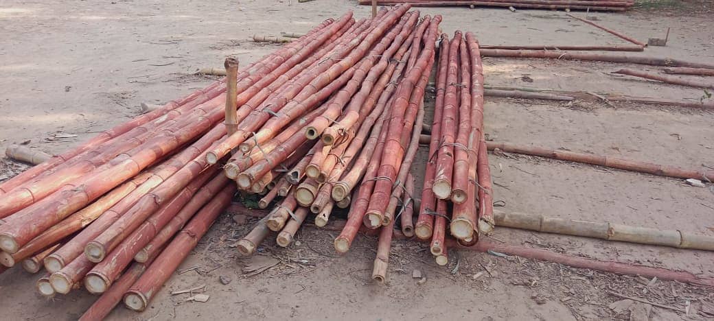 We have a good quality of bamboo poles and stick with diffetent sizes. 8