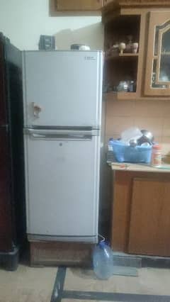 ORIENT FRIDGE M SIZE 03199340257