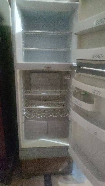 ORIENT FRIDGE M SIZE 03199340257 1