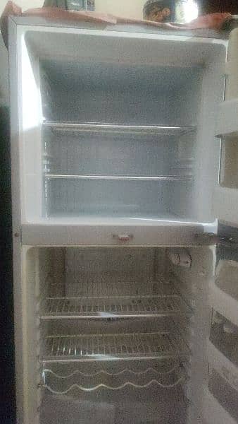 ORIENT FRIDGE M SIZE 03199340257 2