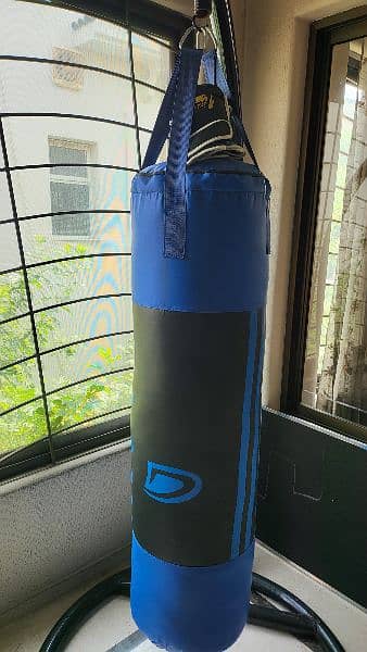 Punching bag/sand bad 3