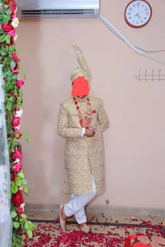 sherwani dulha