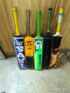 Cricket Bat 5 0