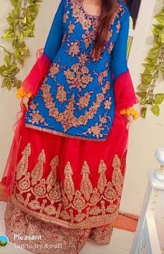 type: Lehnga choli 0