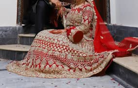 bridal lehnga maxi and groom sherwani available on rent 0