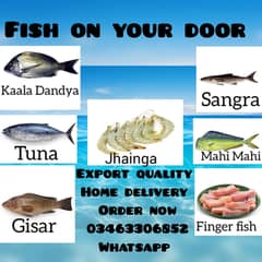 Fresh Fish Export Quality