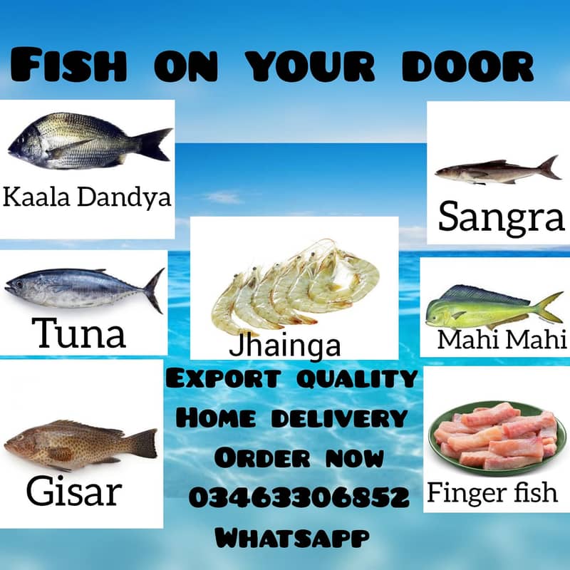 Fresh Fish Export Quality 0