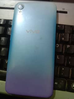 vivo