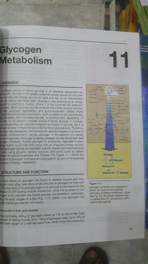 Medical books 2