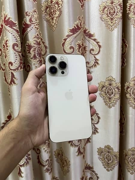 iPhone XR Converted to 13 Pro Max 1