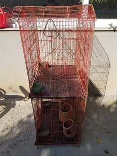 double parrots birds cage new