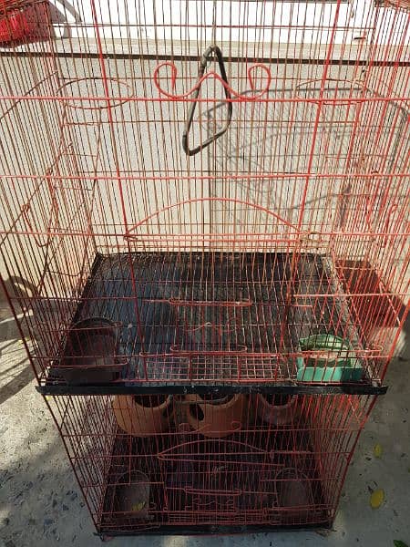 double parrots birds cage new 1