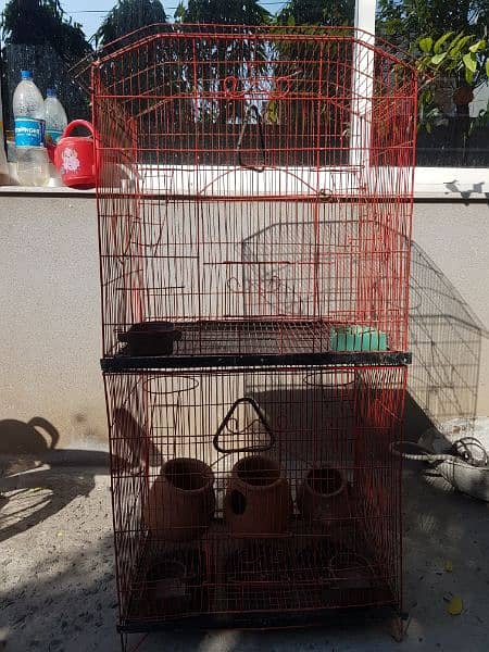 double parrots birds cage new 3