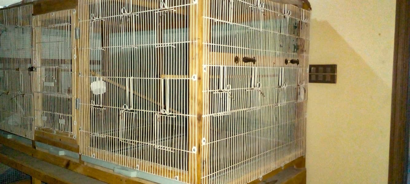 CAGES FOR BIRDS 5