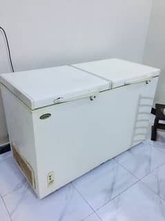 2 Door Waves Deep Freezer