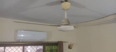 Four Ceiling Fans Available For Sale 0