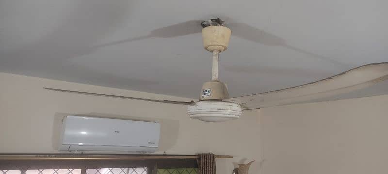 Four Ceiling Fans Available For Sale 3