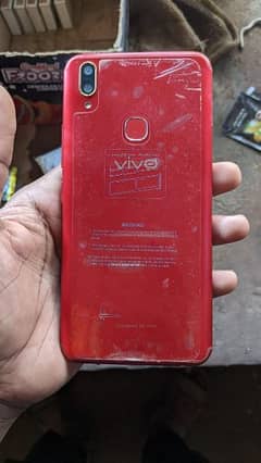 Vivo