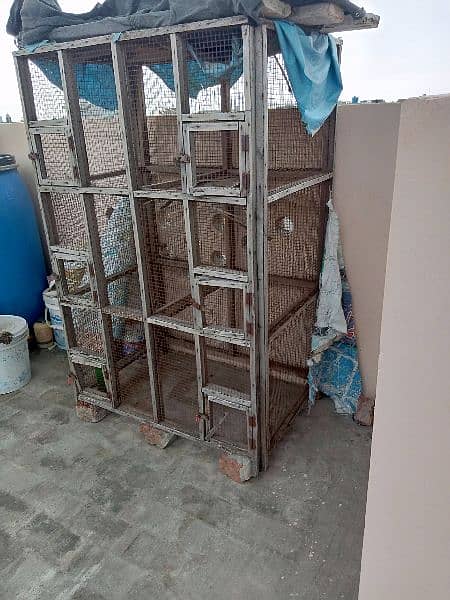 cage for hens and birds for sale 2