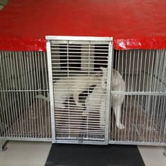 Pets Cage