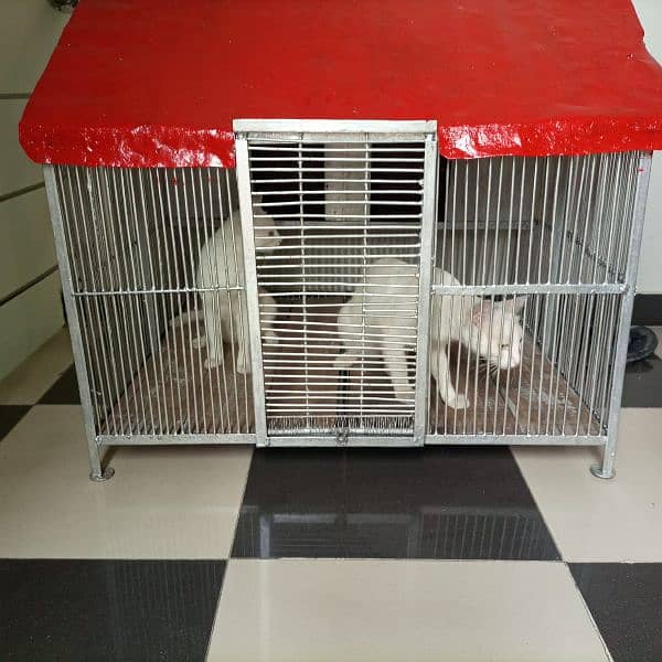 Pets Cage 2