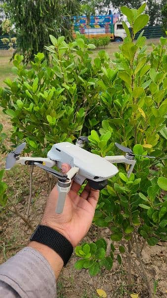 Mavic Mini 1