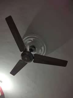 Indus ceiling fan