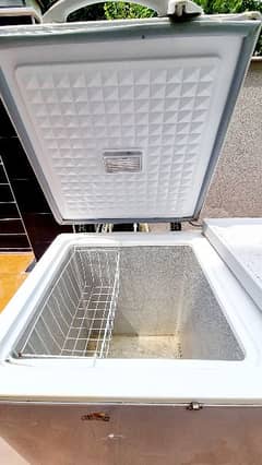 Dawlence Double Door Deep Freezer