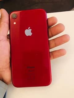 iPhone xr  non pta