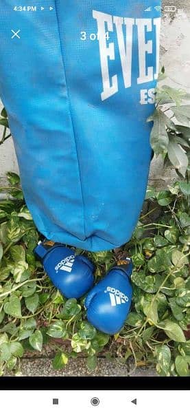 Boxing Bag | Boxing Gloves | Training Bag | Punch Bag 1