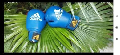 Boxing Bag | Boxing Gloves | Training Bag | Punch Bag