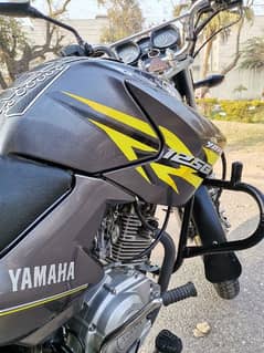 Yamaha